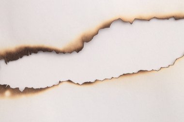 Boş eski yanmış grunge parçaları bej arka planda karton kağıt dalga aralığı çerçevesi.