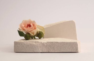 Stones platformu podyumu, gri neuyral arka planda bej kremalı gül çiçeği buketi. Ürün sunum sahnesi için en az boş temel.