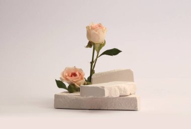 Stones platformu podyumu, gri neuyral arka planda bej kremalı gül çiçeği buketi. Ürün sunum sahnesi için en az boş temel.