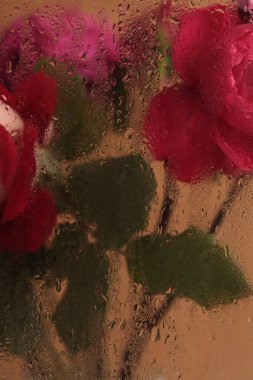 Duman seçilmiş yumuşak odak pembe gül çiçeği buketi ve ıslak su damlaları. Soyut doğal bulanık arkaplan.