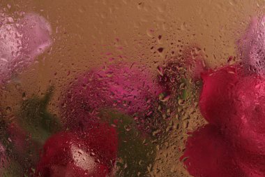 Duman seçilmiş yumuşak odak pembe gül çiçeği buketi ve ıslak su damlaları. Soyut doğal bulanık arkaplan.