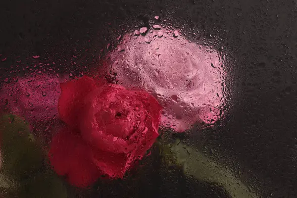 Duman seçilmiş yumuşak odak pembe gül çiçeği buketi ve ıslak su damlaları. Soyut doğal bulanık siyah arkaplan.