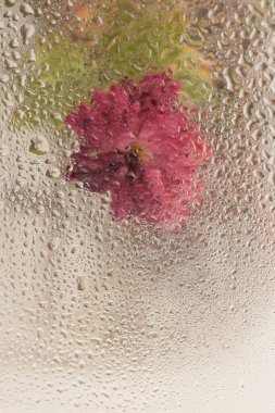 Paskalya dumanı, krizantem çiçeği ve ıslak su damlaları. Soyut doğal bulanık arkaplan.