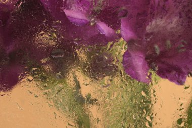 Yumuşak dumanlı mor eflatun çiçeği buketi bardakta su damlalarıyla. Soyut doğal bulanık arkaplan.