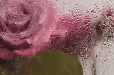 Duman seçilmiş yumuşak odak pembe gül çiçeği, ıslak su damlaları ile cam içinden yaprak. Soyut doğal bulanık arkaplan.