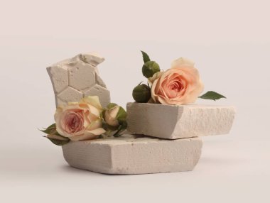 Stones platformu podyumu, gri arka planda bej kremalı gül çiçeği buketi. Ürün sunum sahnesi için en az boş temel.