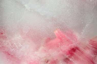 Smoke Soft odaklı pembe çiçek yaprağı ve donmuş buz. Soyut doğal bulanık arkaplan.