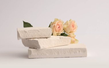 Stones platformu podyumu, gri arka planda bej kremalı gül çiçeği buketi. Ürün sunum sahnesi için en az boş temel.