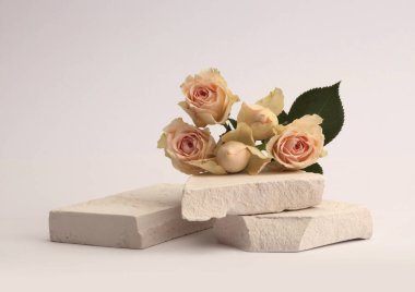 Stones platformu podyumu, gri arka planda bej kremalı gül çiçeği buketi. Ürün sunum sahnesi için en az boş temel.