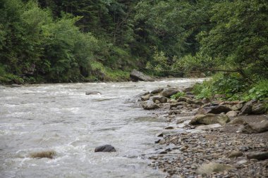 river in the forest in mountain Carpathians, Ukraine