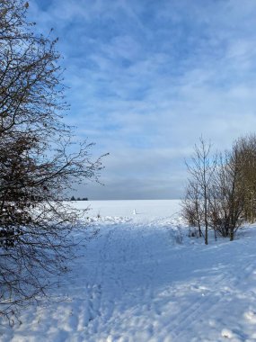 Prag köyünde karla kaplı ağaçlarla kaplı kış manzarası