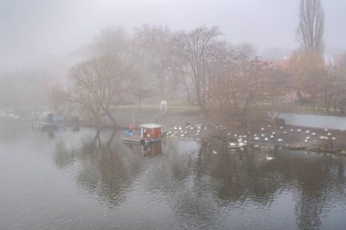 view of the river Vltava  in autumn