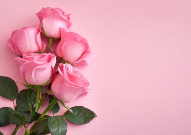 Pembe arkaplanda pembe güller, üst görünüm, metin için kopyalama alanı, sevgililer günü kartı