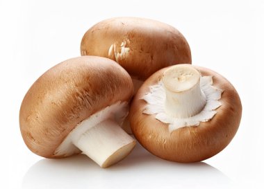Beyaz arka plan üzerinde ham champignon mantar