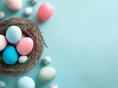 Mavi arka planda tüyleri olan bir yuvada paskalya yumurtası. Mutlu Paskalyalar.