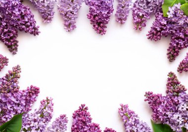 beyaz arkaplanda izole edilmiş güzel leylak metin için boş alan