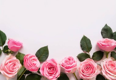 pink roses on white paper background, empty space for text