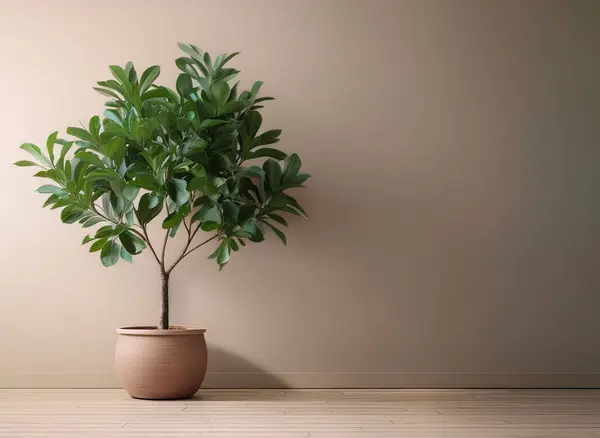 Modern iç tasarım konsepti.