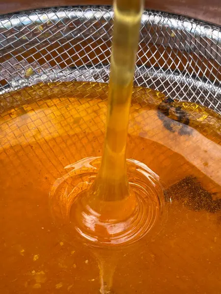 Bir kasede taze organik bal