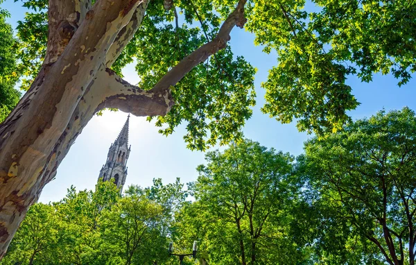 Nimes Stadt Südfrankreich Gard Okzitanien Kirchturm Und Bäume Park Platanen — Stockfoto