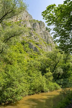 Romanya 'nın Transilvanya kentinde Turda yakınlarında Cheile Turzii geçidi