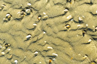 Kumsaldaki çakıl taşları, altın kum, güzel doku.