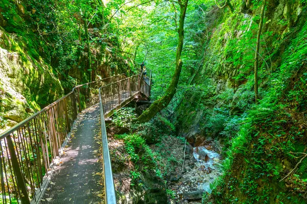 stock image Rastenbach or Gola del Rio Pausa gorge at Lake Caldaro Kalterer See, South Tyrol