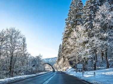 Avusturya Alplerinde kışın dağ yolu, Kitzbuhel Kitzbuhel yol tabelası, karlı köknar ağacı