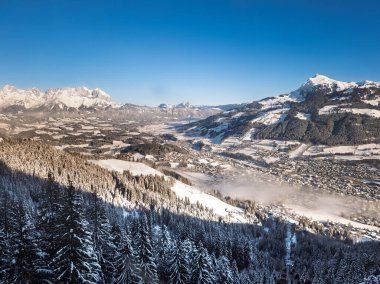 Avusturya Alplerinde kışın dağ yolu, Kitzbuhel Kitzbuhel yol tabelası, karlı köknar ağacı