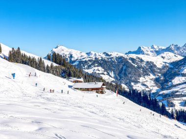 Avusturya Alplerinde kışın dağ yolu, Kitzbuhel Kitzbuhel yol tabelası, karlı köknar ağacı