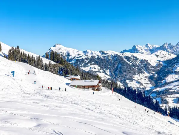 Avusturya Alplerinde kışın dağ yolu, Kitzbuhel Kitzbuhel yol tabelası, karlı köknar ağacı