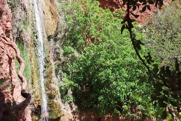 Водоспад Віґріо Альте Південь Від Португалії Алгарве Стокове Зображення