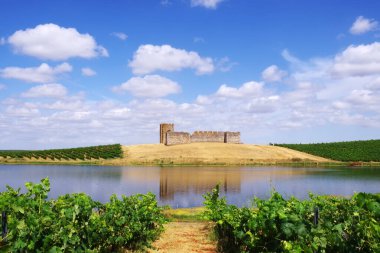 Portekiz Valongo Kalesi manzarası