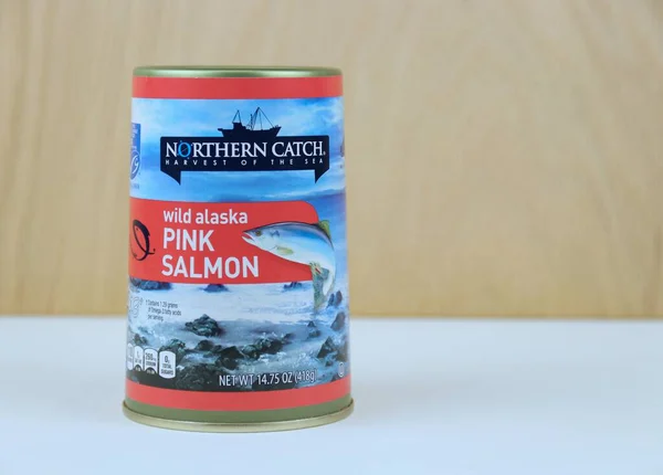 Spencer Wisconsin March 2023 Can Northern Catch Pink Salmon Northern — Stock Photo, Image