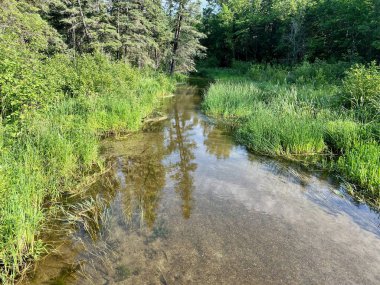 Mississippi nehrinin akıntısı akıntıya bakıyor.