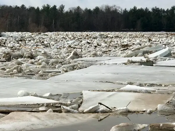 Wisconsin Nehri 'ndeki buzul barajının arkasında bir orman var.