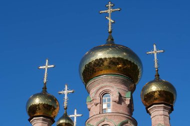 Tanrı 'nın Annesi İkon Kilisesi Hayat Veren Bahar, Kutsal Şefaat Manastırı, Goloseevsky Hermitage - Kyiv-Pechersk Lavra' nın çizimi