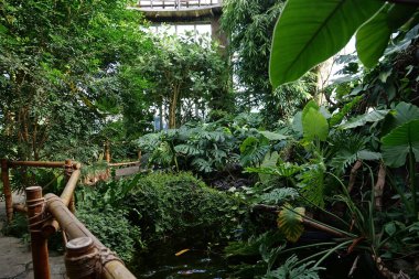 Ecological development of planet. Beautiful green plants in greenhouse. Healthy green trees in greenhouse, ecological balance of planet, natural clean production and nutrition