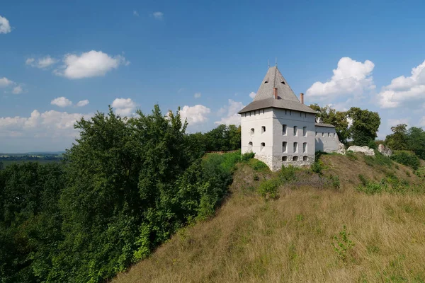 Castle 14Th Century Halych City Dniester River Western Ukraine City — Stock Photo, Image