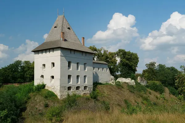 Замок Халіч Місто Річці Дністер Західна Україна Xiv Сторіччя Місто — стокове фото