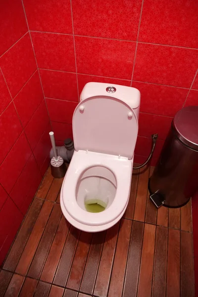 Toalettrumsinteriör Med Vit Toalettskål Med Öppet Lock Metallisk Papperskorg Toalettborste — Stockfoto