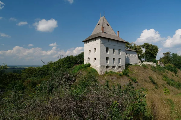 Yüzyıldan Kalma Halych Kalesi Batı Ukrayna Dniester Nehri Üzerindeki Şehir — Stok fotoğraf