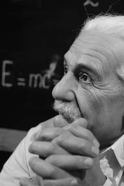 Bukovel Ukraine October 2022 World Famous Scientist Theoretical Physicist Nobel — Stok Foto