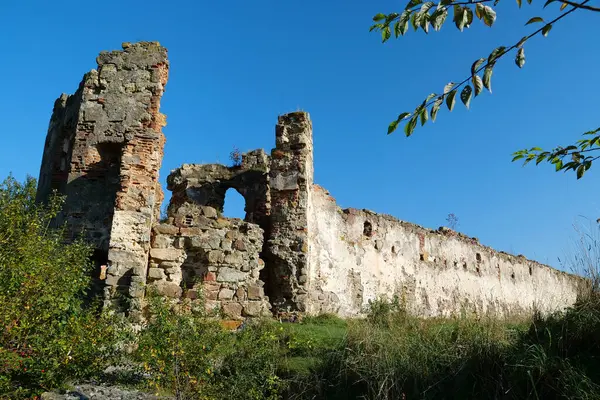 Ruins Ancient Pniv Castle Medieval Historical Object Ivano Frankivsk Region — Foto Stock