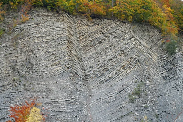 Górskie Fałdy Geologiczne Jaremczy Ukraina Znany Jako Fałdy Jaremcze Największy — Zdjęcie stockowe