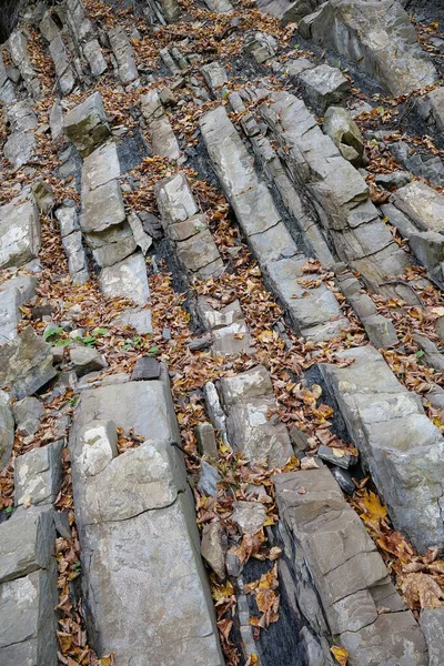 Kamienie Pobliżu Rzeki Prut Karpaty Ukrainie Jaremcze Fałdy Największy Wylot — Zdjęcie stockowe