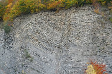 Mountain geological folds in Yaremche, Ukraine, known as Yaremche folds - biggest outcrop of Stryi formation in Europe. Here rocks of this formation are folded and faulted, gothic or chevron types