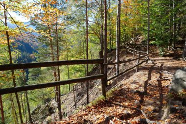 Dovbush yolu. Ormanlık dağ yamaçlarından geçerek Ukrayna 'nın Yaremche yakınlarındaki Dovbush Kayalıkları' na çıkıyor. Dovbush yolu Opryshky 'nin büyük lideri Oleksa Dovbush' un anısına yapıldı.