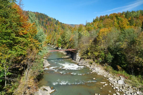 Güzel Dağ Nehri Renkli Sonbahar Ağaçları Batı Ukrayna Prut Nehri — Stok fotoğraf