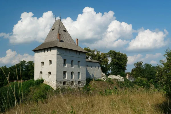 Yüzyıldan Kalma Halych Kalesi Batı Ukrayna Dniester Nehri Üzerindeki Şehir — Stok fotoğraf